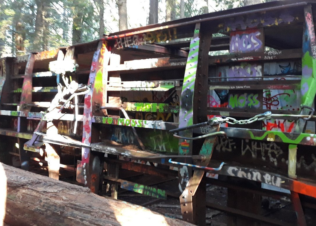 The Whistler Train Wreck Trail-惠斯勒必去景点