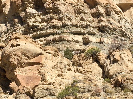 The Little Book Cliffs Wild Horse Area-大章克申必去景点