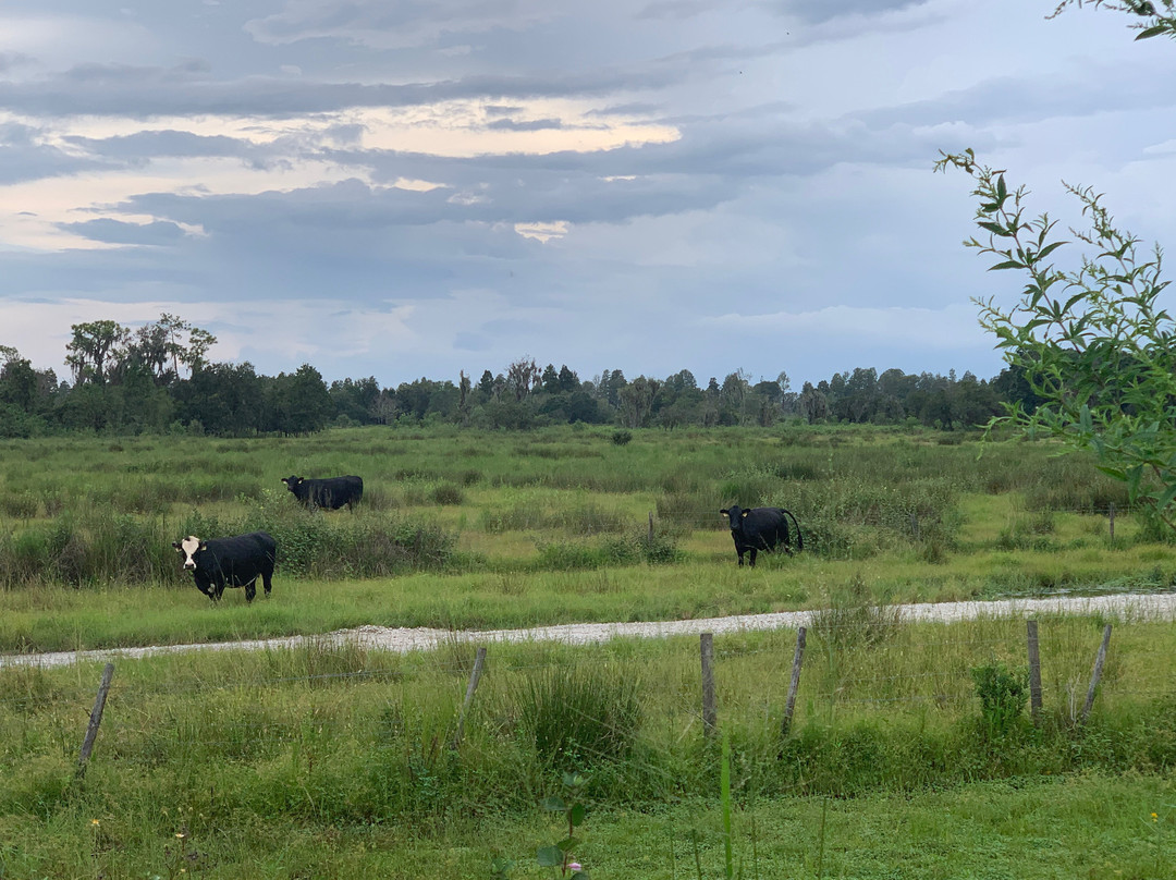 Marshall Hampton Reserve-温特黑文必去景点
