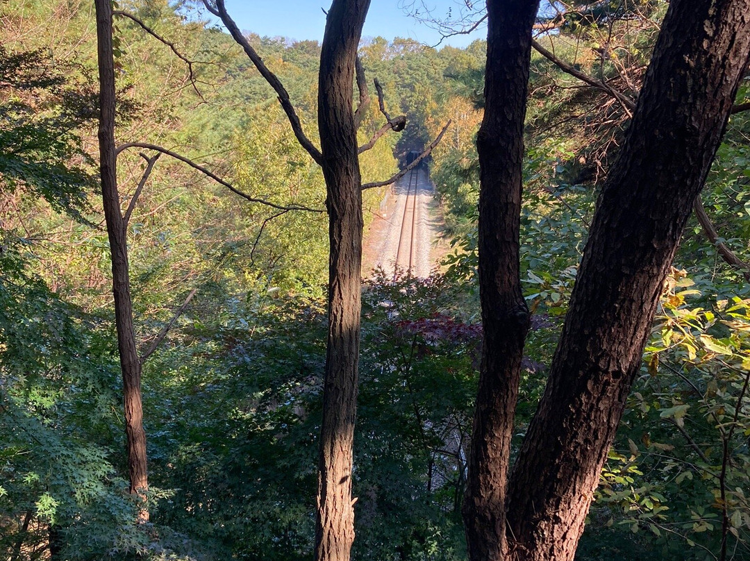 Tomb of General Kim Yu Shin-庆州市必去景点