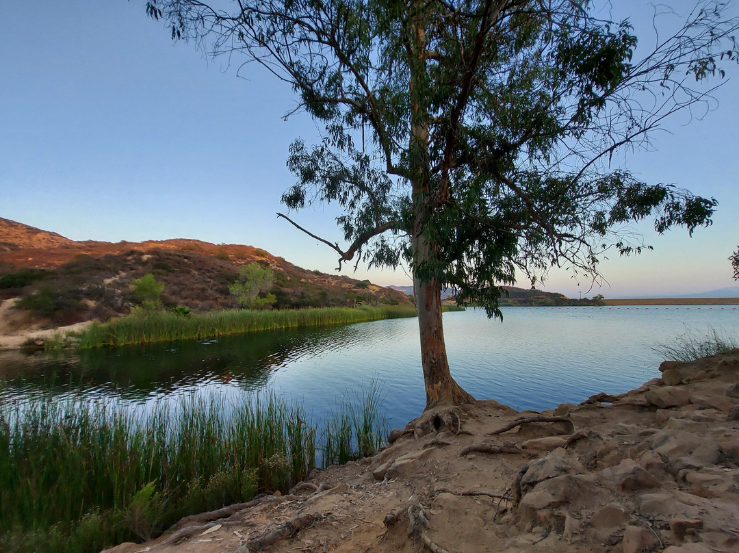 Dixon Lake景点图片