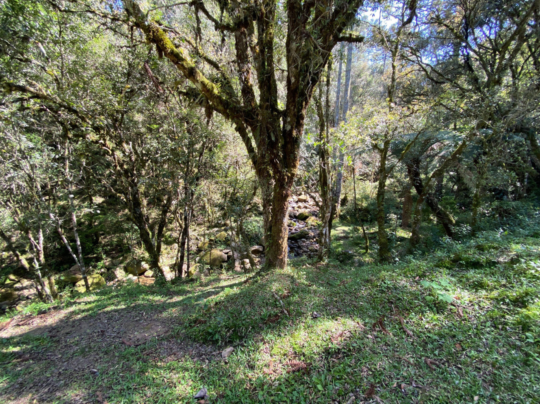 Caverna Rio dos Bugres-Urubici必去景点