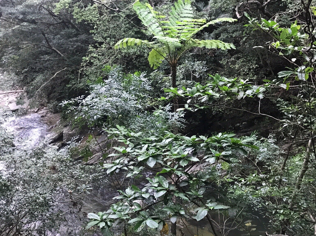 Hiji Waterfall景点图片