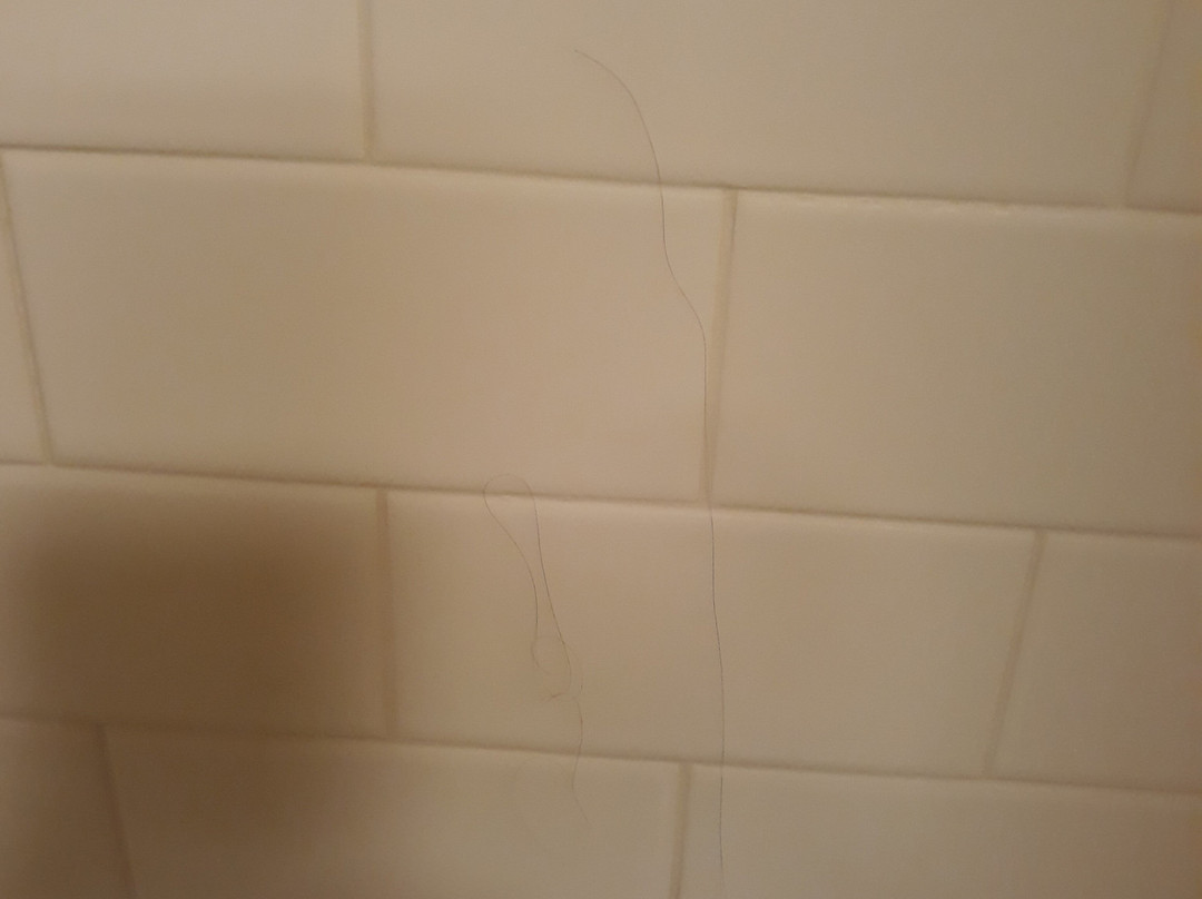 Fairfield by Marriott Inn & Suites Morgantown主图