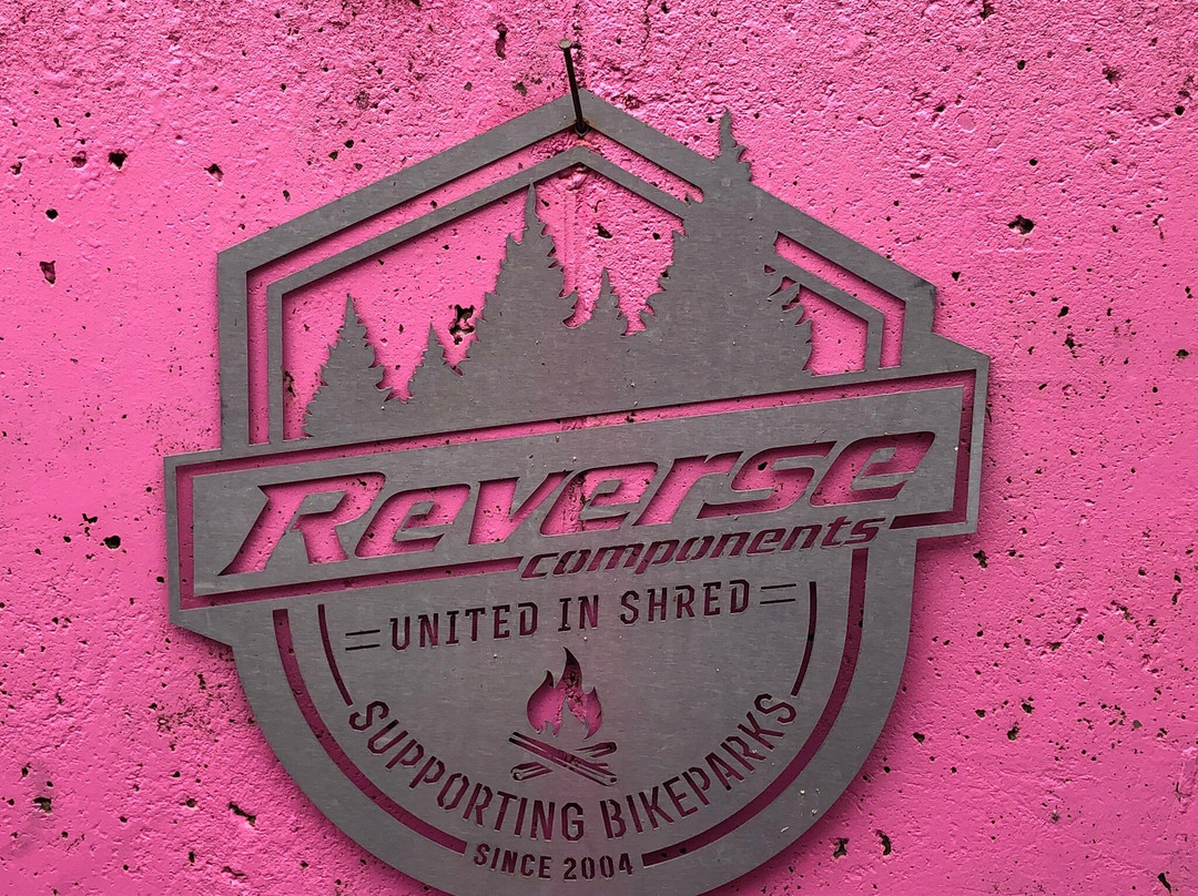 Bikepark Todtnau-托特瑙必去景点