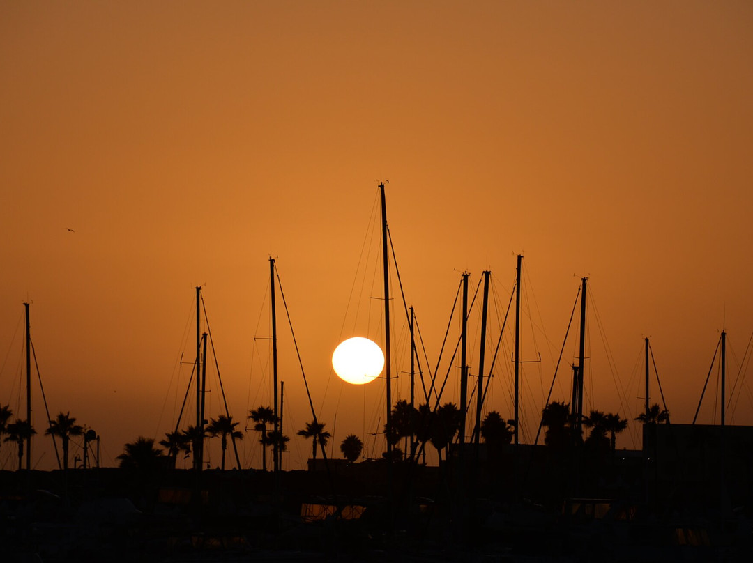 Quintas Papagayo主图