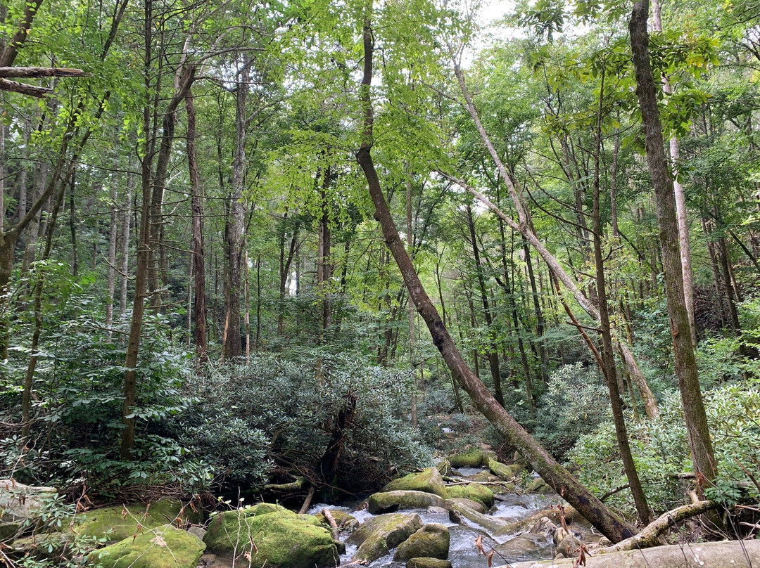 Pulliam Creek Trailhead景点图片