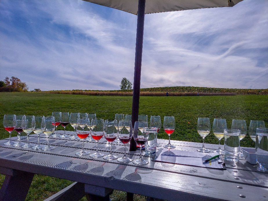 Captain Jim's Wine Cruises景点图片