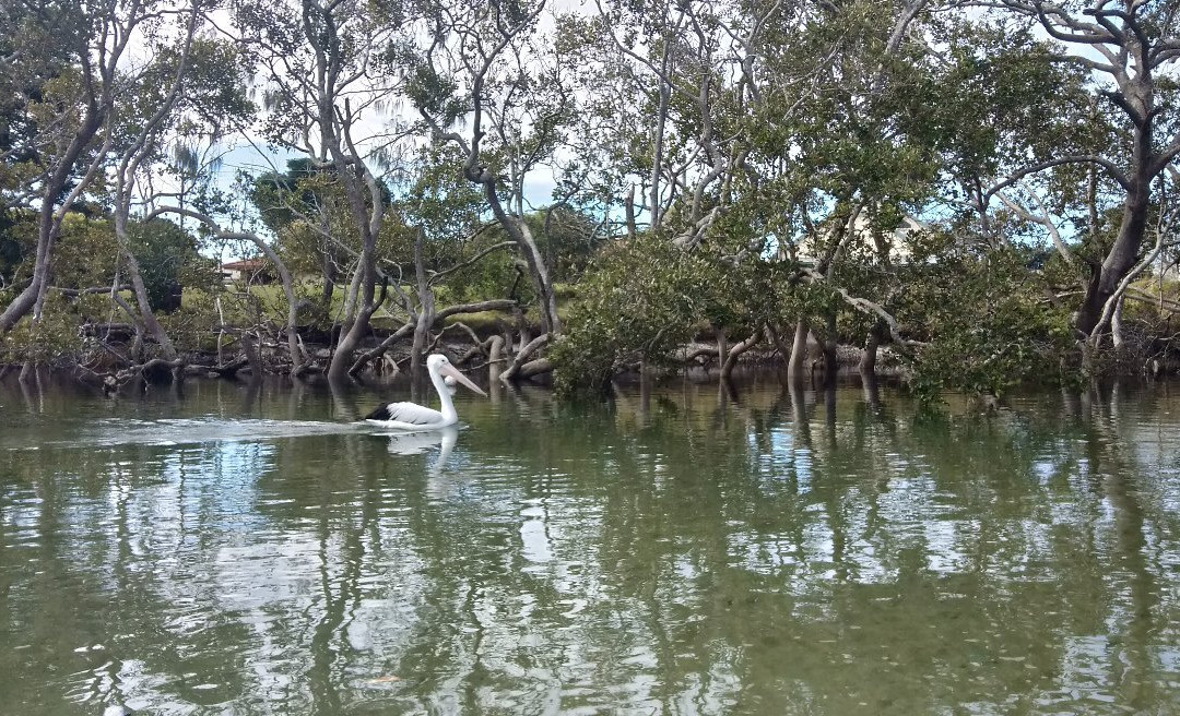 Hat Head National Park-Hat Head必去景点