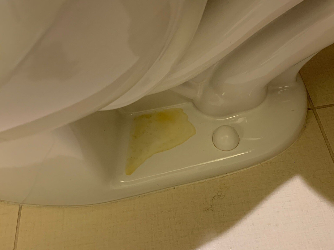 The Westin Wilmington主图