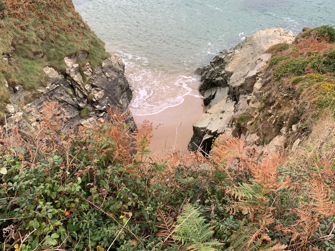 Salcombe to Bolt Head Walk-Salcombe必去景点