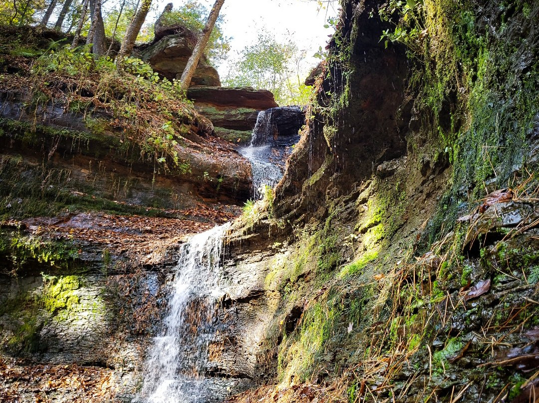 Devil's Punchbowl Preserve景点图片