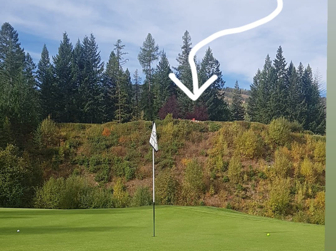 Trickle Creek Golf Resort景点图片
