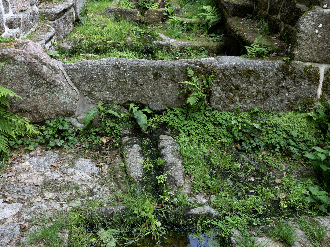 Fontaine Notre-dame De Pendreo