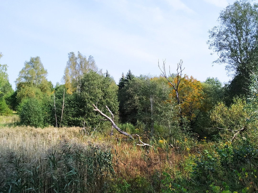 Viazynka branch of Yanka Kupala State Literary Museum景点图片