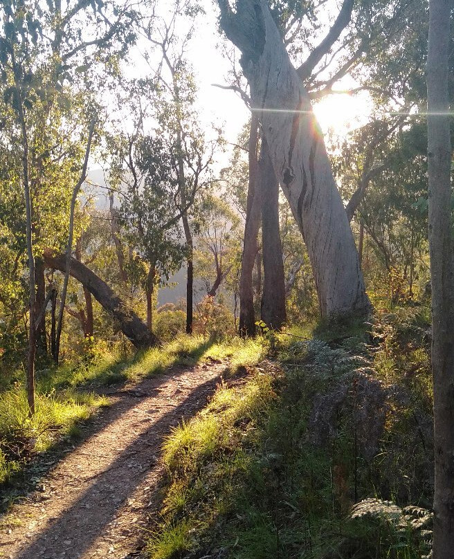 Apex Lookout-布赖特必去景点