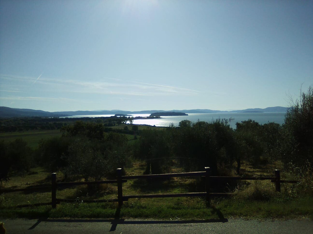 Lake Trasimeno景点图片