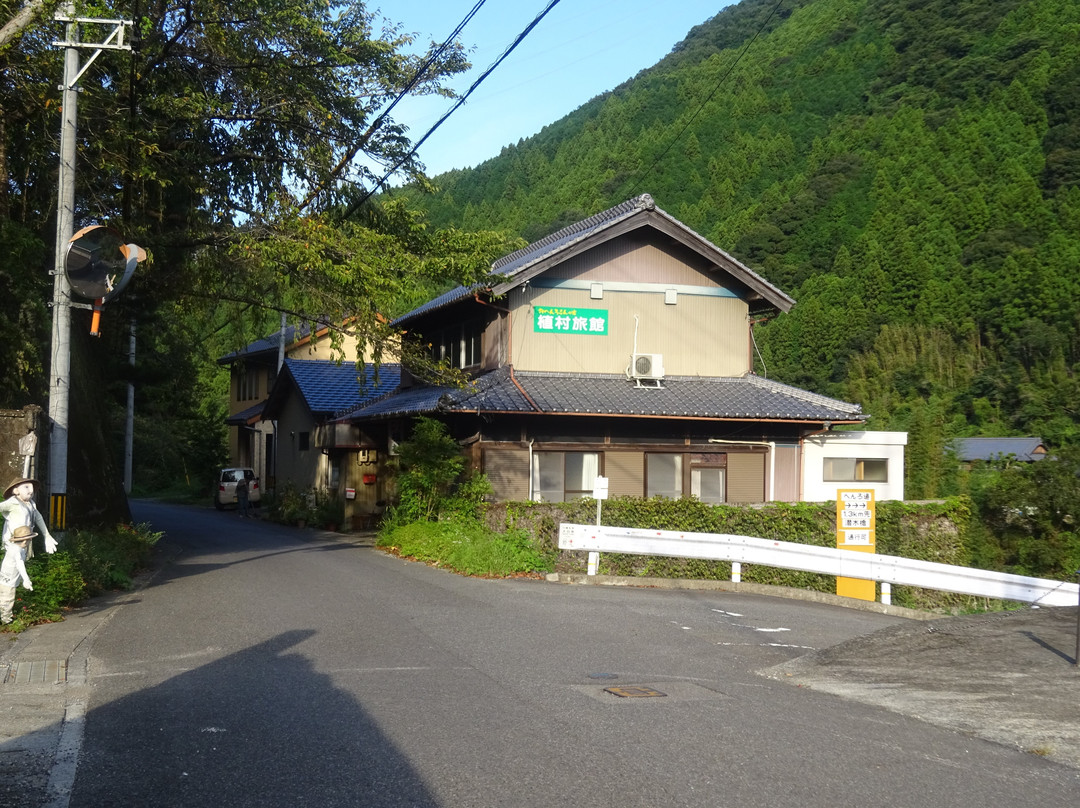 Uemura主图