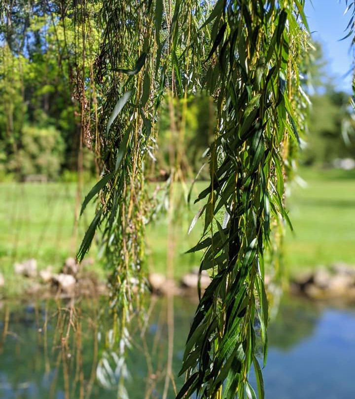 Farrell House Lodge主图