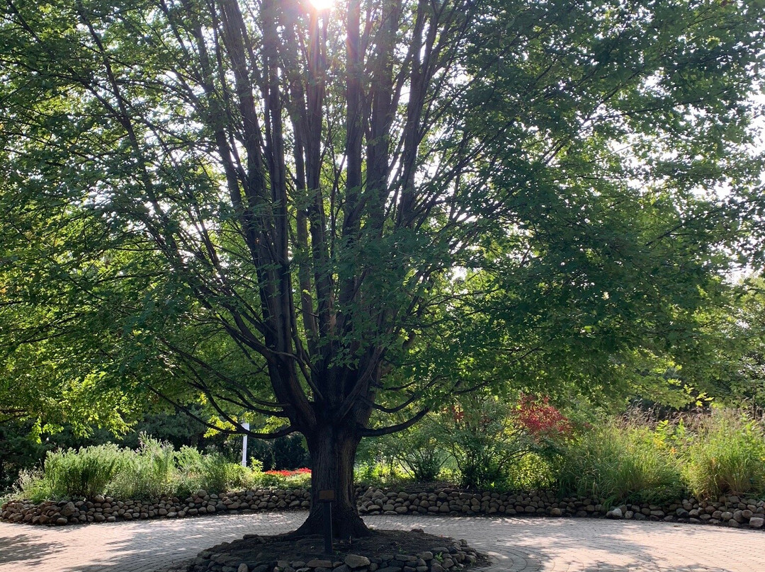 McCrory Gardens-Brookings必去景点