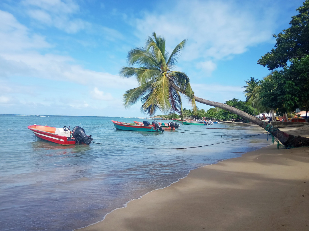 Scooter Évasion-Le Francois必去景点