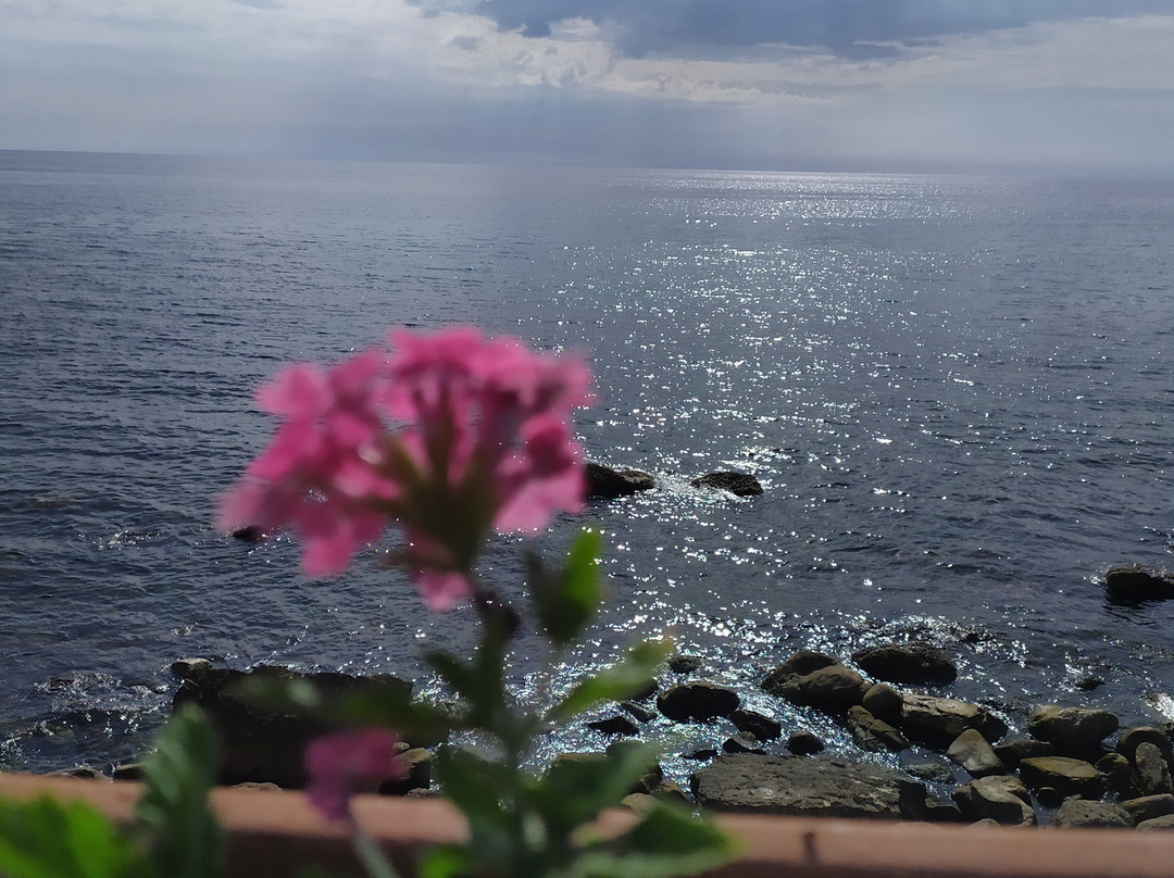 Spiaggia Marina di Pisciotta景点图片
