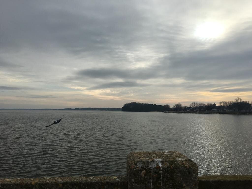 Choptank River Lighthouse景点图片