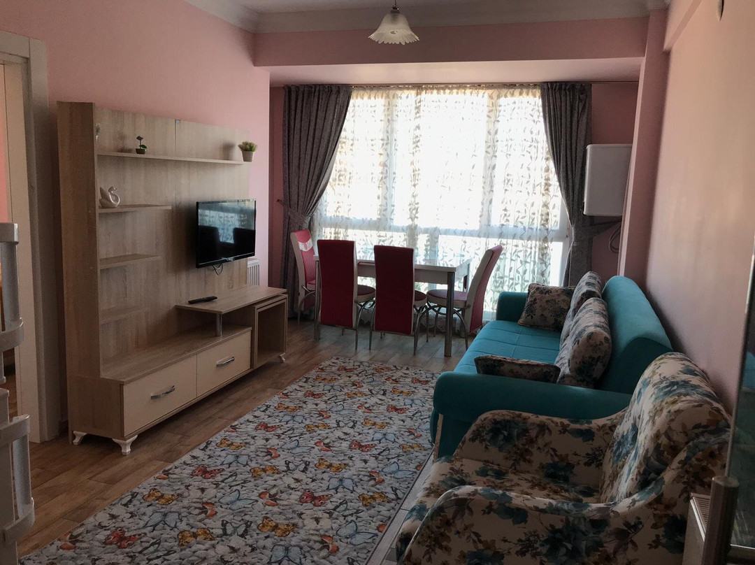 Melodi Vip Suit主图