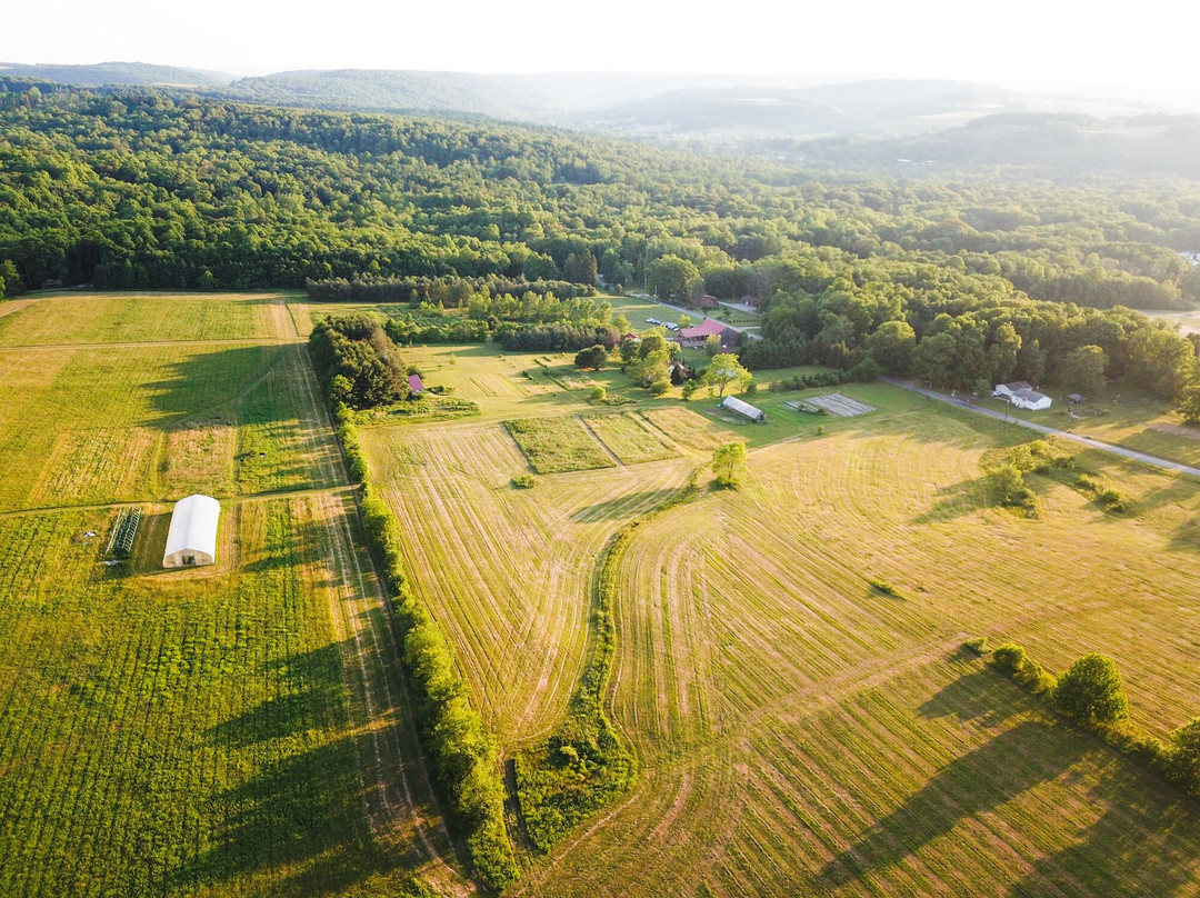 Sanaview Farms and Winery-Champion必去景点
