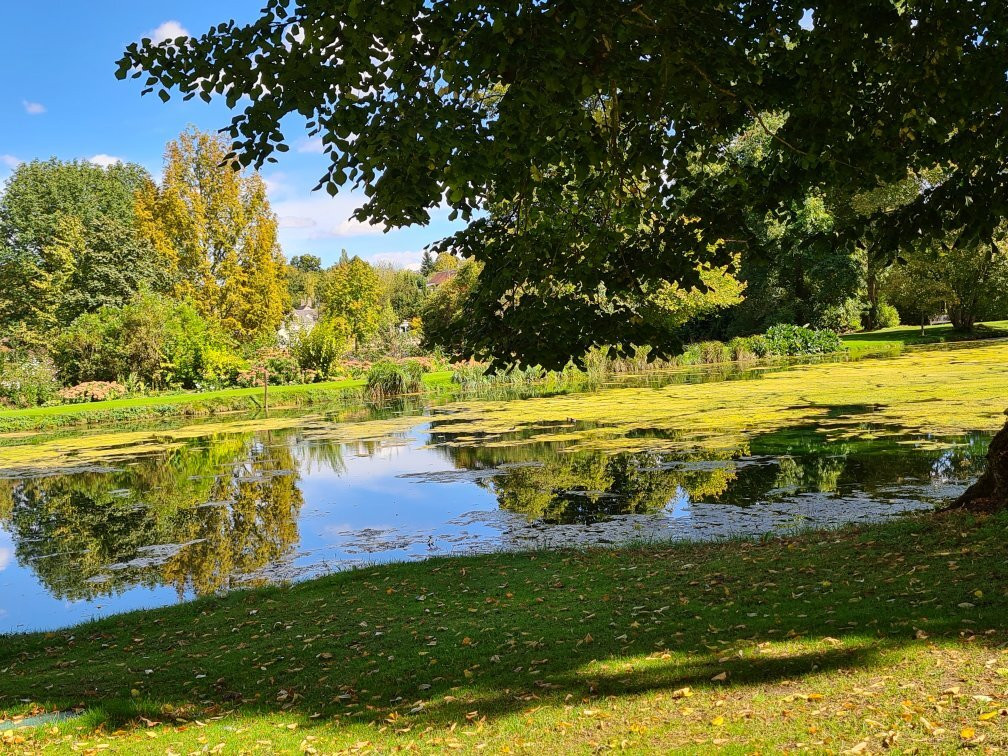 Plessis Sasnieres Garden景点图片
