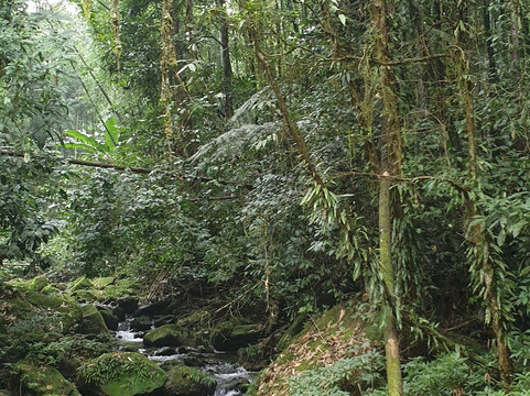 Ha Giang Primitive Tour-Viet Quang必去景点