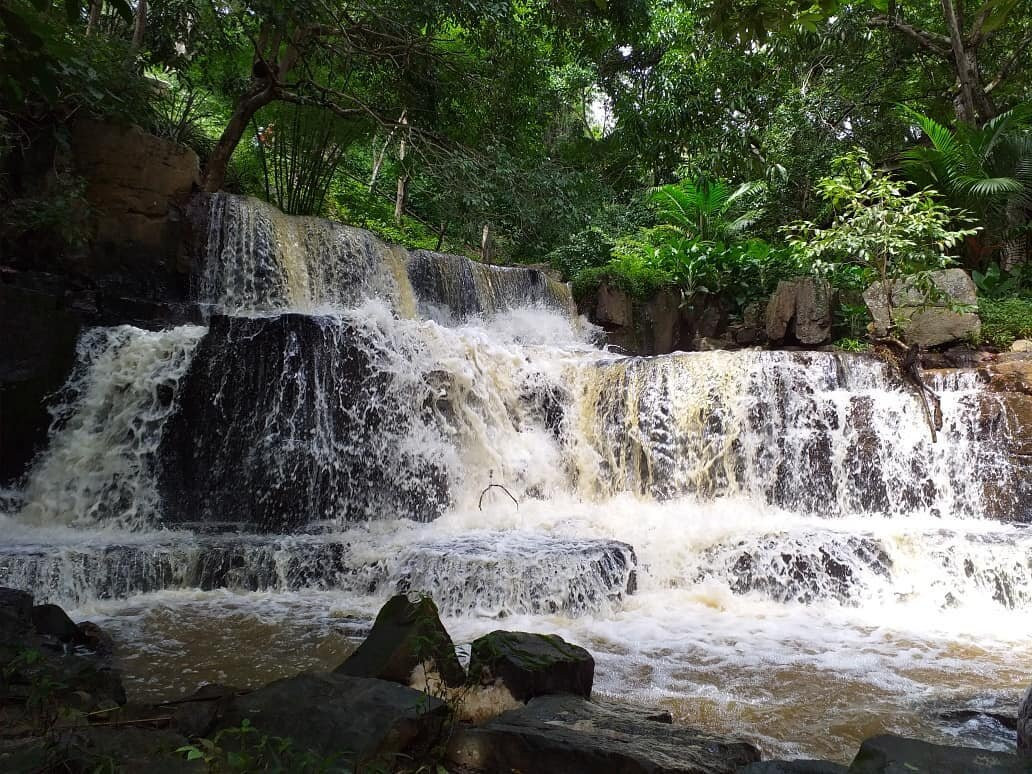 Paraqueira In Natura-Vicosa Do Ceara必去景点