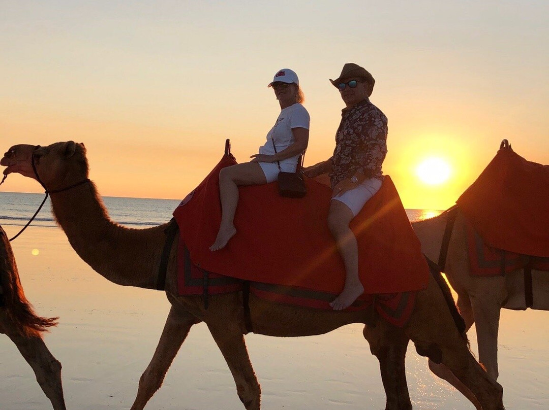 Red Sun Camels景点图片