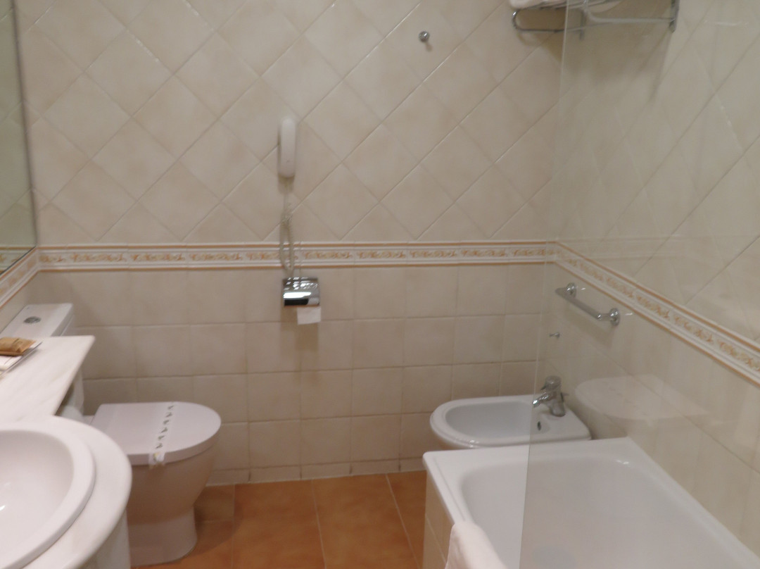 托雷曼加纳酒店主图