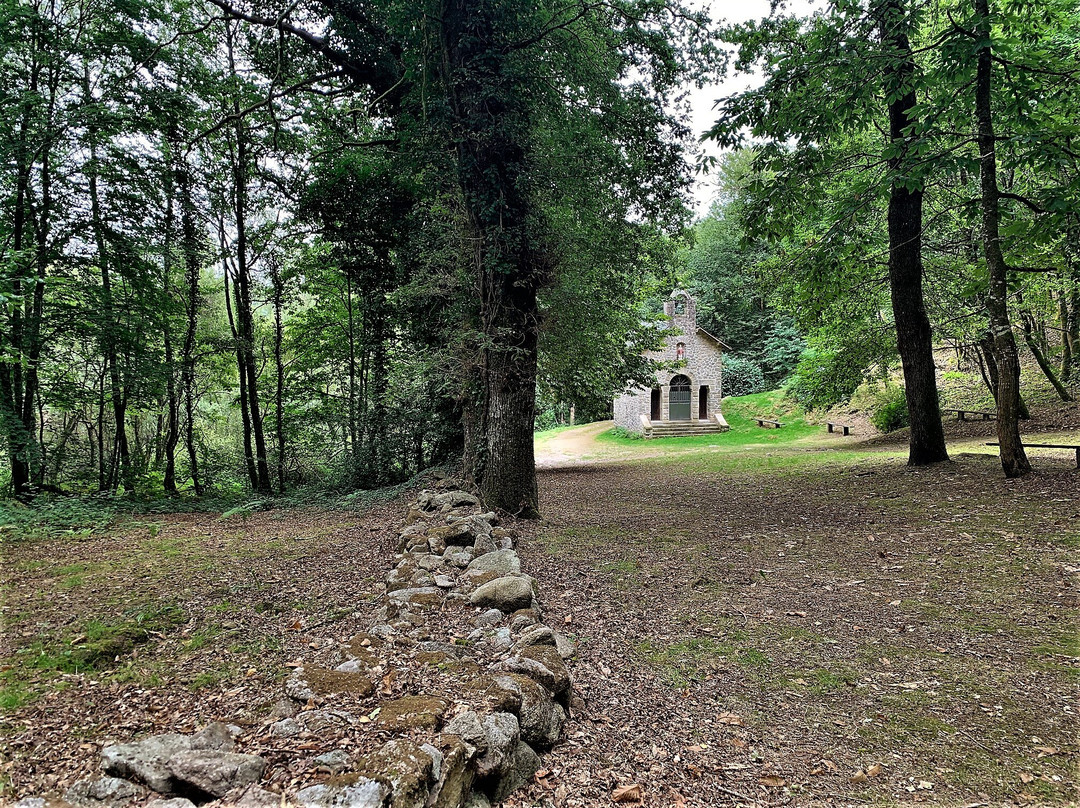 Chapelle Saint Martin de Genouillas景点图片