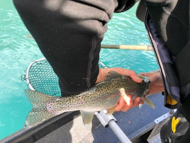 Lakeview Outfitters-Cooper Landing必去景点