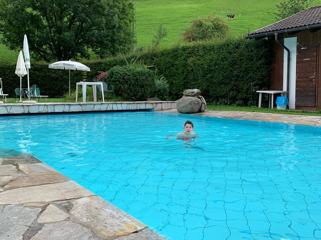 Family Hotel Stegerhaus主图