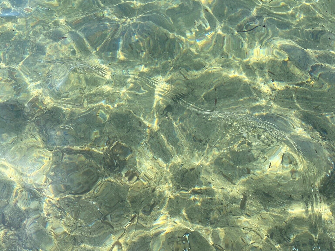 Bagno Baratti景点图片