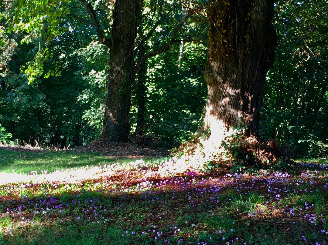 Le Domaine de la Grange de Quaire主图