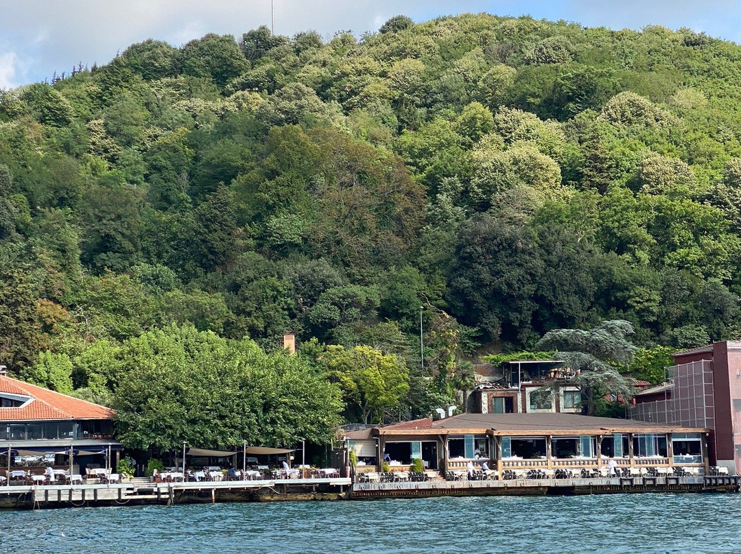 Luxury Istanbul-伊斯坦布尔必去景点