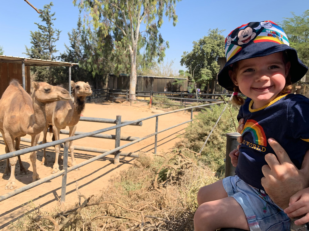 Negev Zoo-贝尔谢巴必去景点