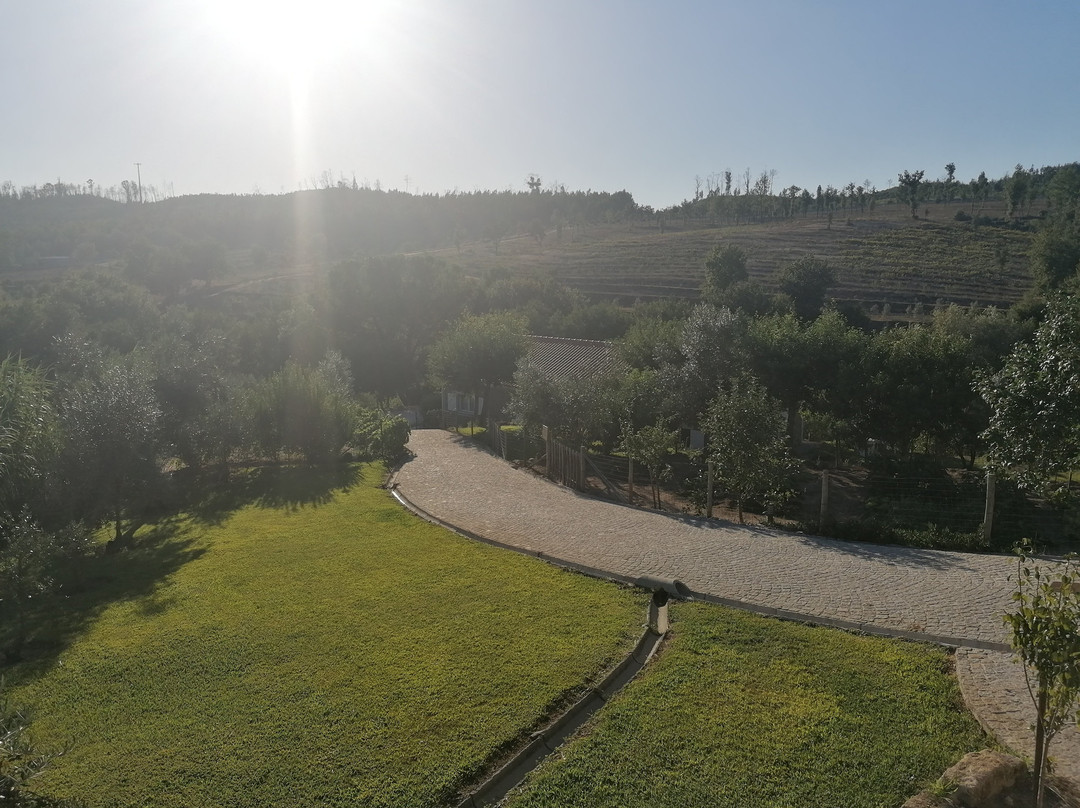 I Love Dao - Casas da Fraga主图