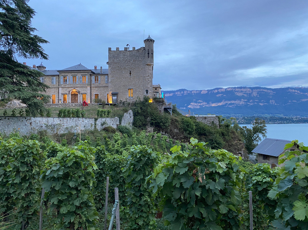Chateau de Bourdeau景点图片
