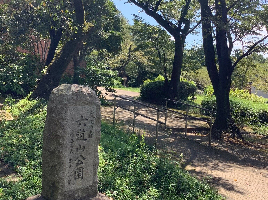 Noyamakita Rokudoyama Park-武藏村山市必去景点