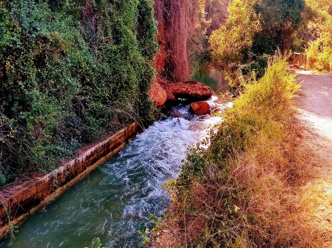 Ruta Botanica景点图片