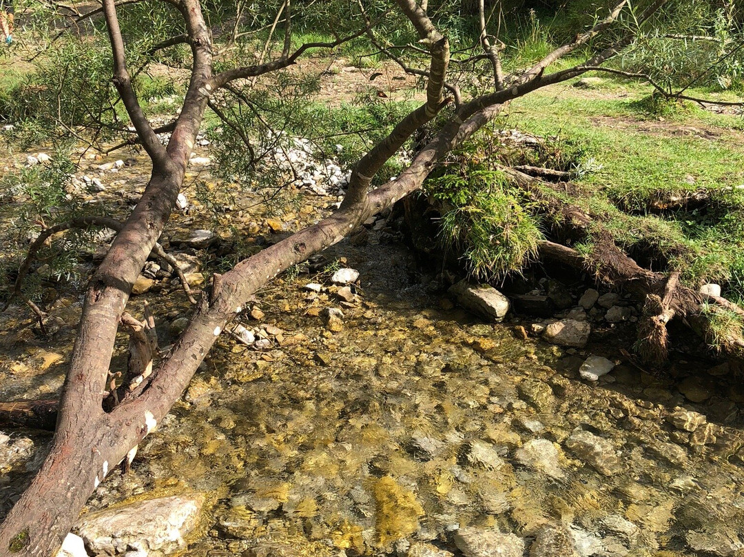 Josefsthaler Wasserfall景点图片