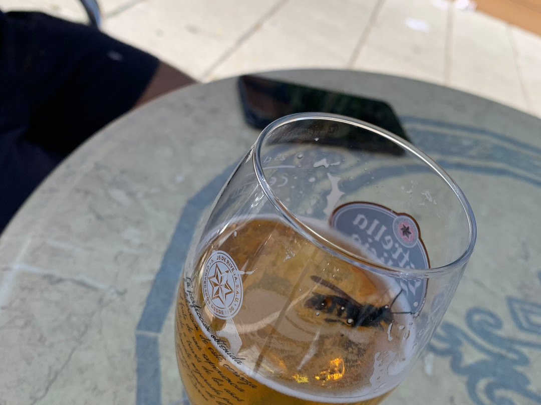 Pesues旅游攻略图片