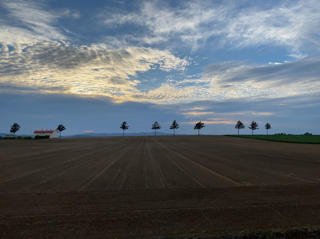 Marchen no Oka-大空町必去景点
