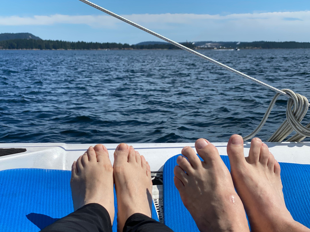 lsland Marine Adventures-纳奈莫必去景点