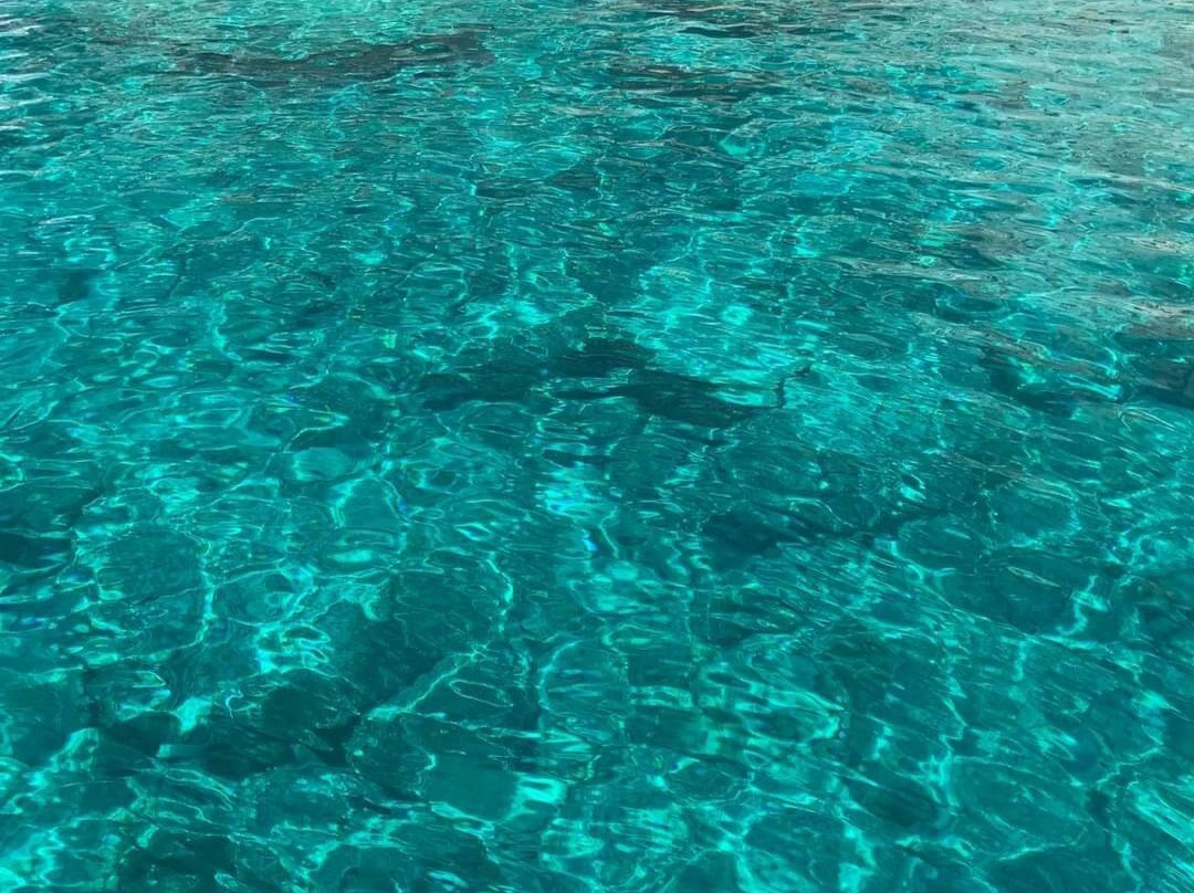 Ionio Cruises & Yacht Charters-Kyllini必去景点